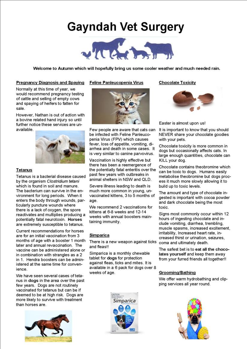 Autumn newsletter 17 email jpeg