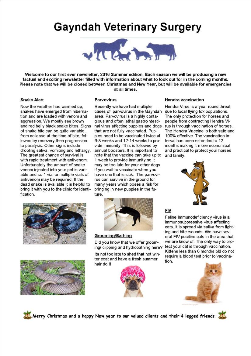 Summer Newsletter 2016 Email version 11