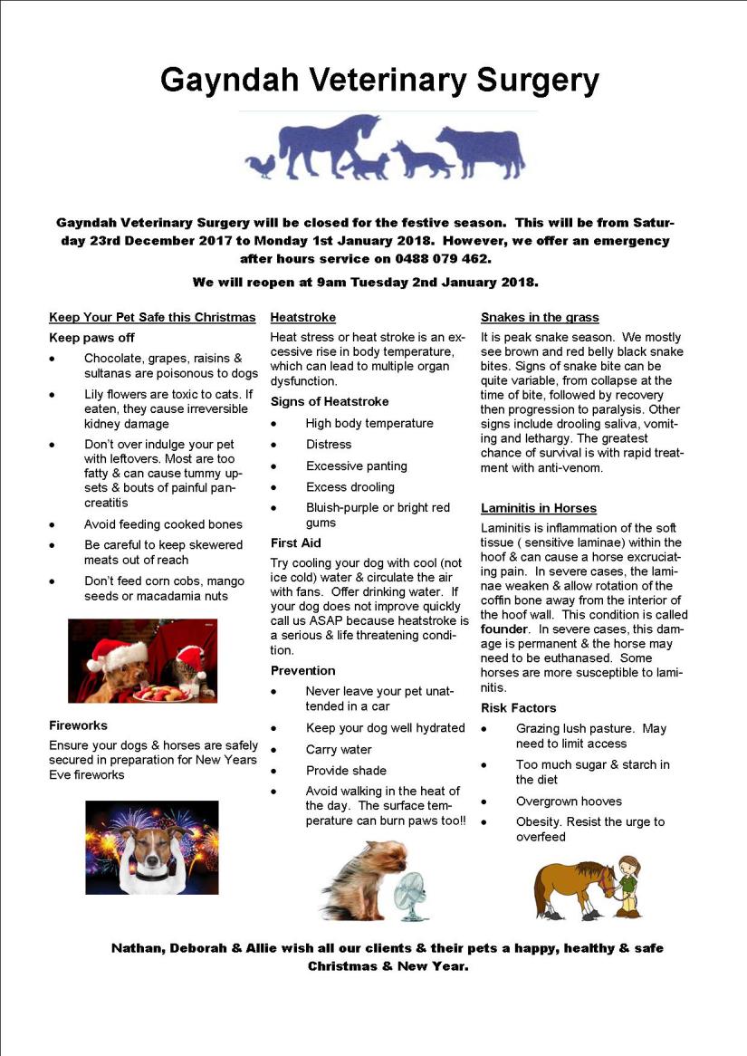 Summer Newsletter 2017 Email version jpeg