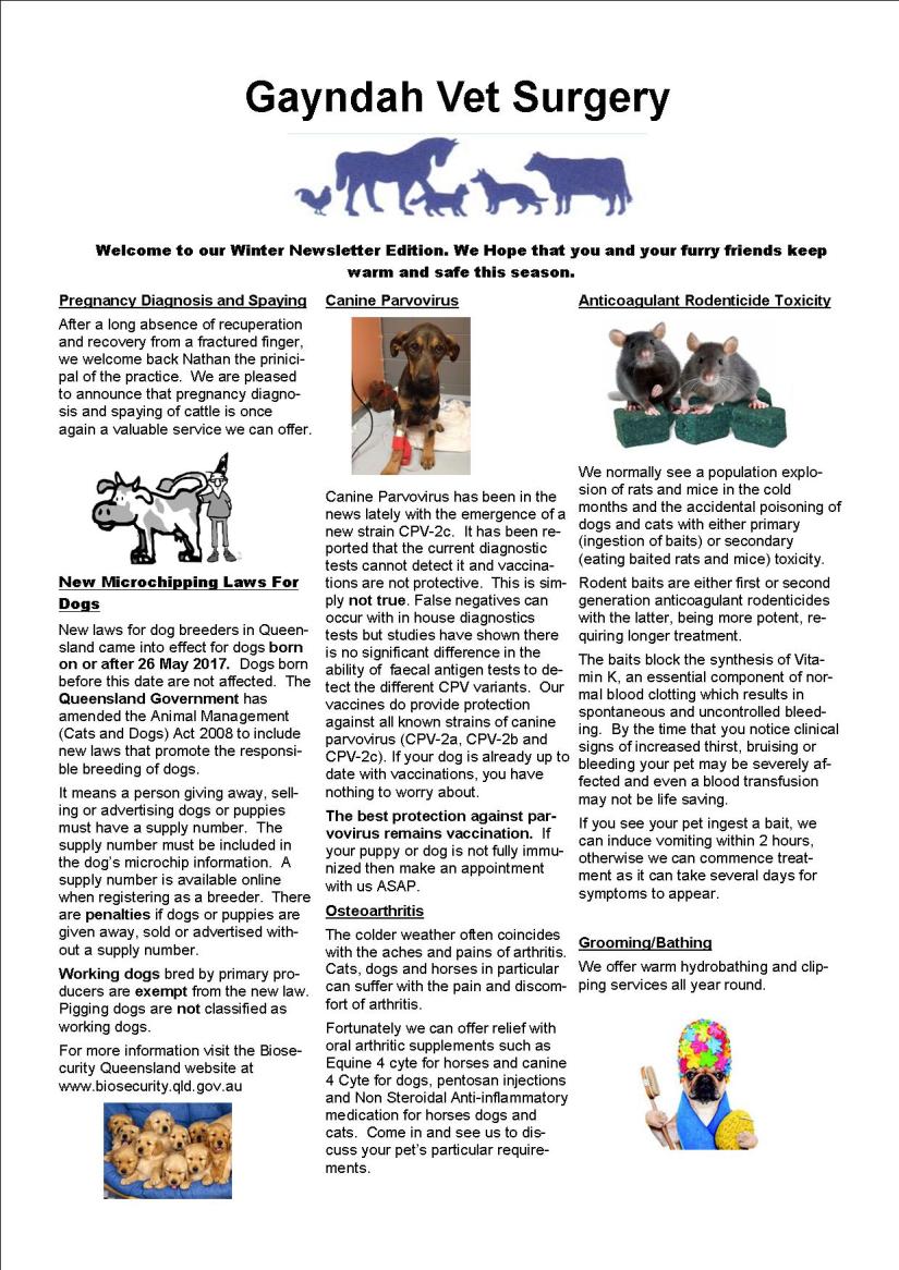 Winter Newsletter 2017 email