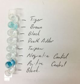 Snake vennom detetcion