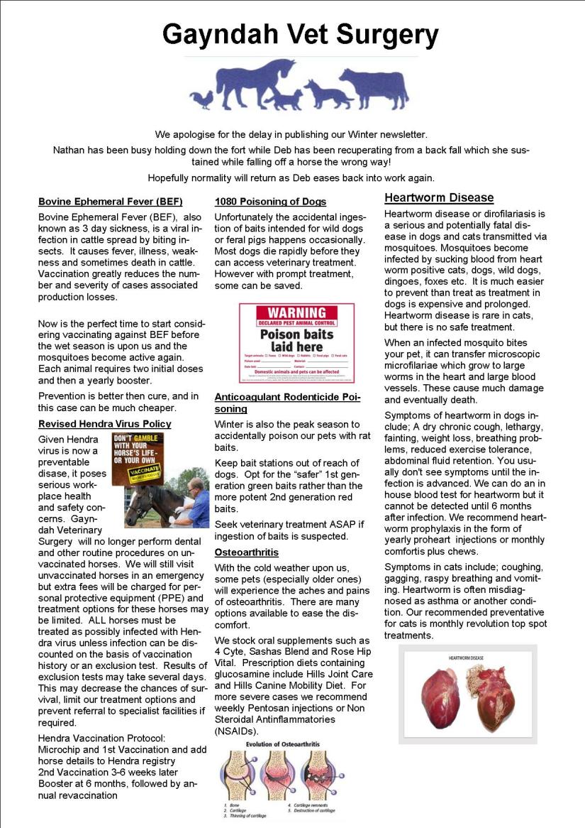 Winter newsletter 18 image